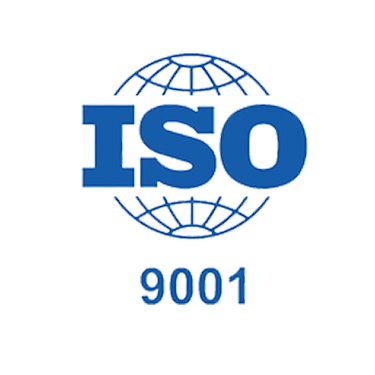 ISO 9001 Logo